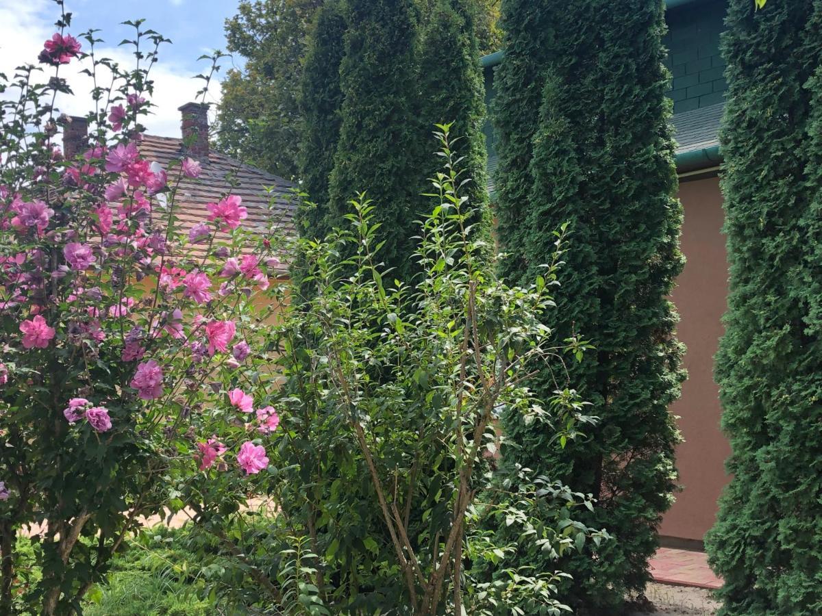 בלטונללה Villa Casa Mia מראה חיצוני תמונה
